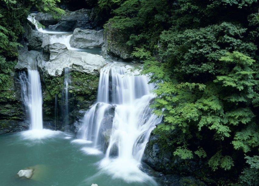 米乐米可森林大冒险
